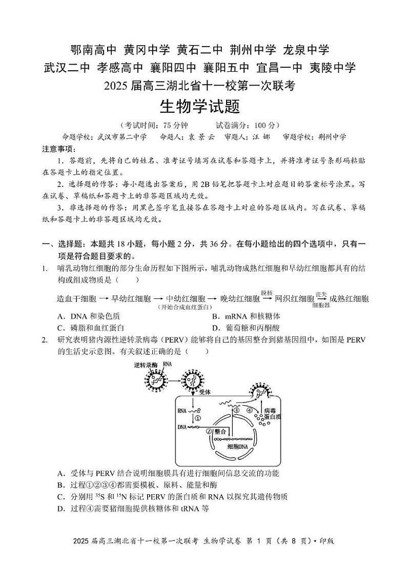 湖北省十一校2024-2025学年高三上学期第一次联考生物试题第1页