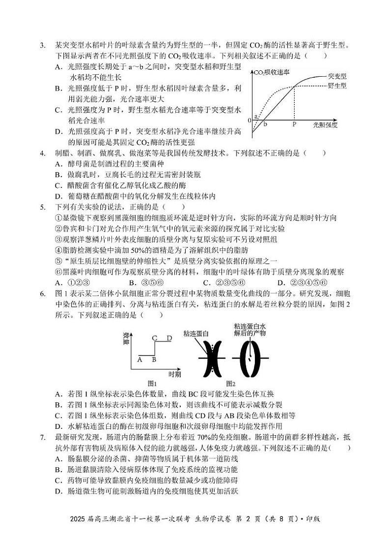 湖北省十一校2024-2025学年高三上学期第一次联考生物试题第2页