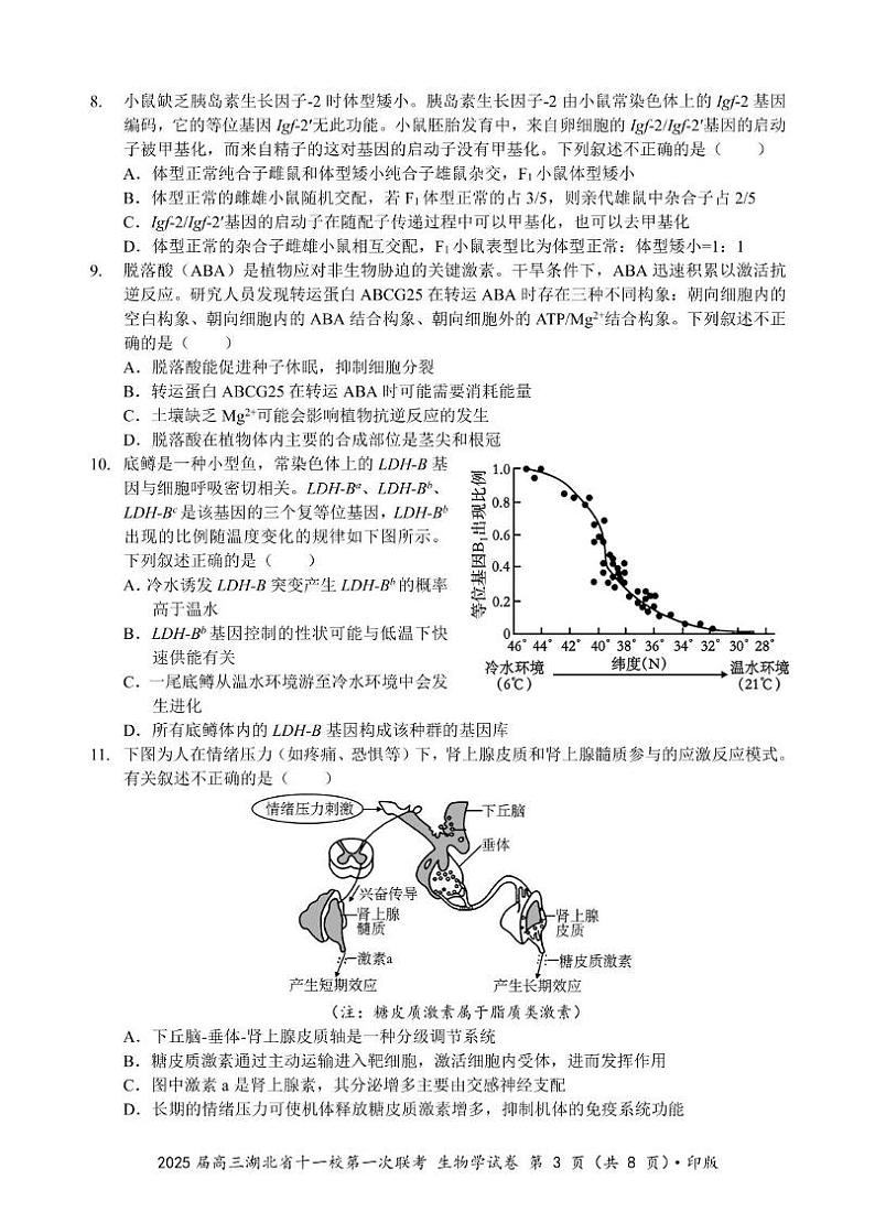 湖北省十一校2024-2025学年高三上学期第一次联考生物试题第3页