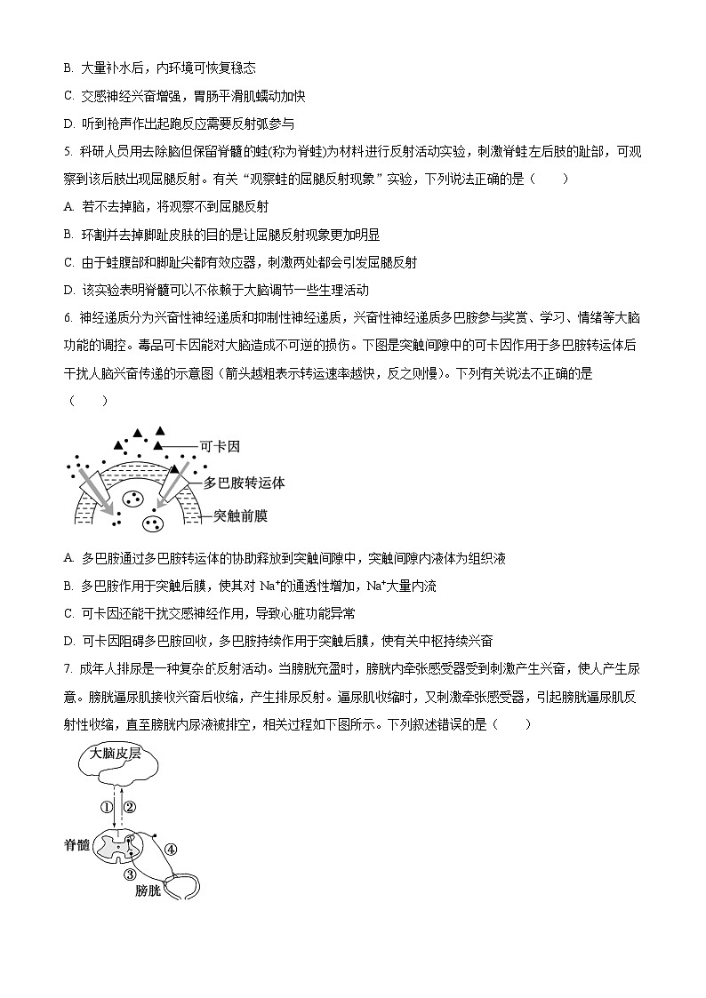 四川省成都外国语学校2024-2025学年高二上学期期中检测生物试题 Word版无答案第2页
