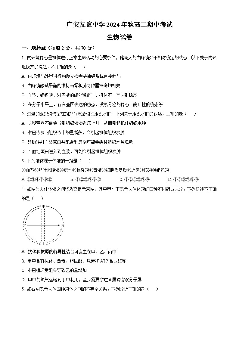 四川省广安市广安区友谊中学2024-2025学年高二上学期11月期中生物试题 Word版无答案第1页