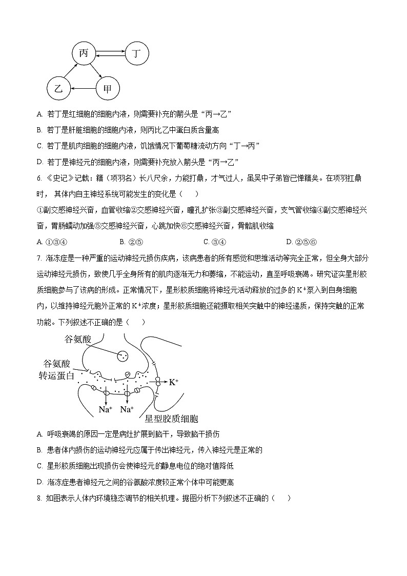 四川省广安市广安区友谊中学2024-2025学年高二上学期11月期中生物试题 Word版无答案第2页