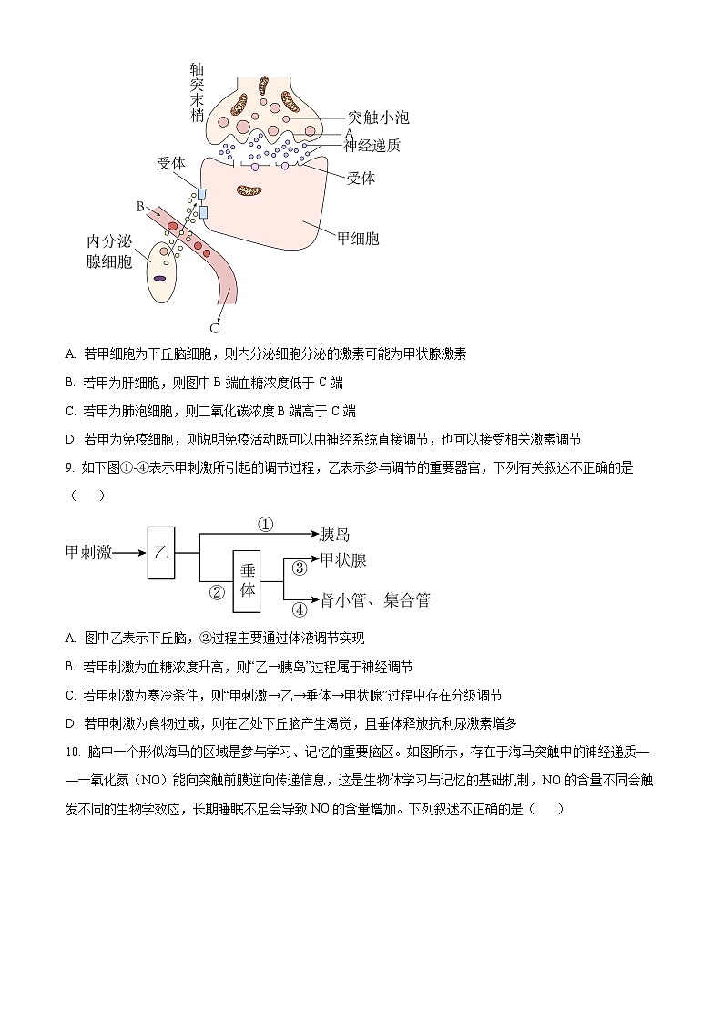 四川省广安市广安区友谊中学2024-2025学年高二上学期11月期中生物试题 Word版无答案第3页