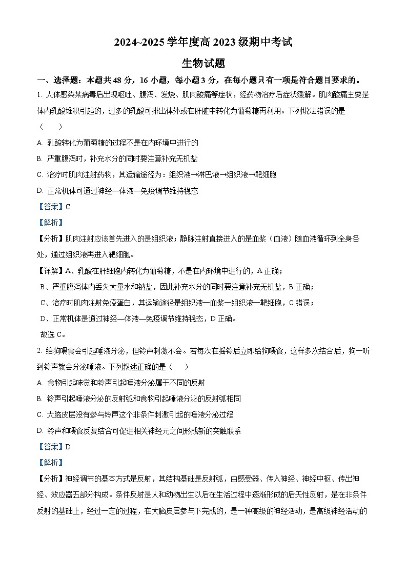 四川省广安中学2024-2025学年高二上学期期中考试生物试题 Word版含解析第1页