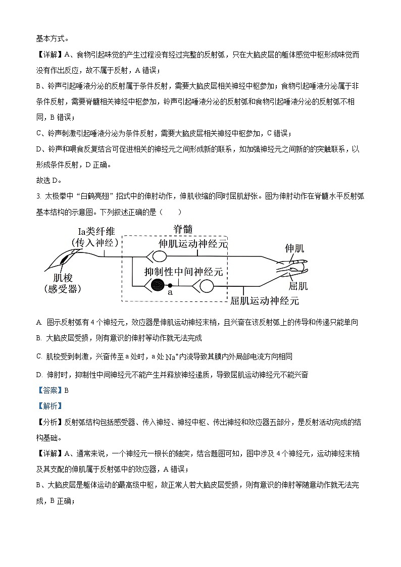 四川省广安中学2024-2025学年高二上学期期中考试生物试题 Word版含解析第2页