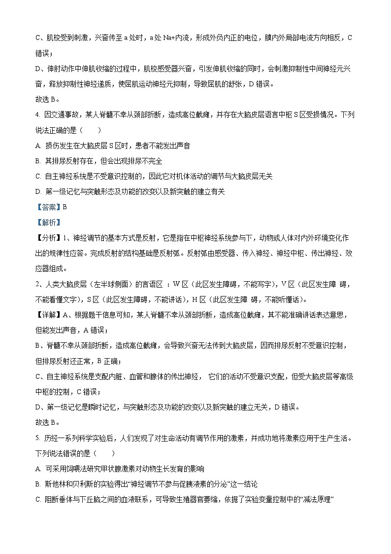 四川省广安中学2024-2025学年高二上学期期中考试生物试题 Word版含解析第3页