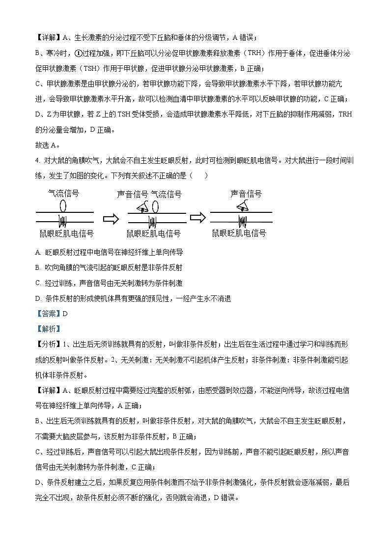 重庆市巴蜀中学校2024-2025学年高二上学期11月期中生物试题 Word版含解析第3页