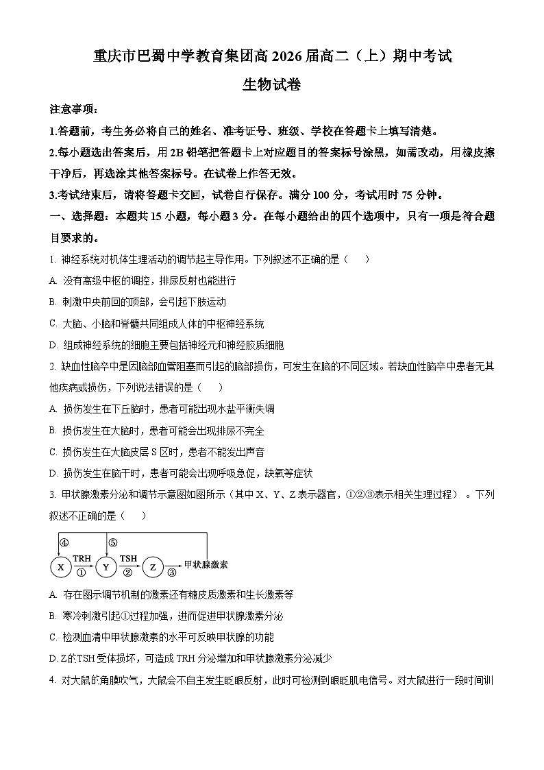 重庆市巴蜀中学校2024-2025学年高二上学期11月期中生物试题 Word版无答案第1页