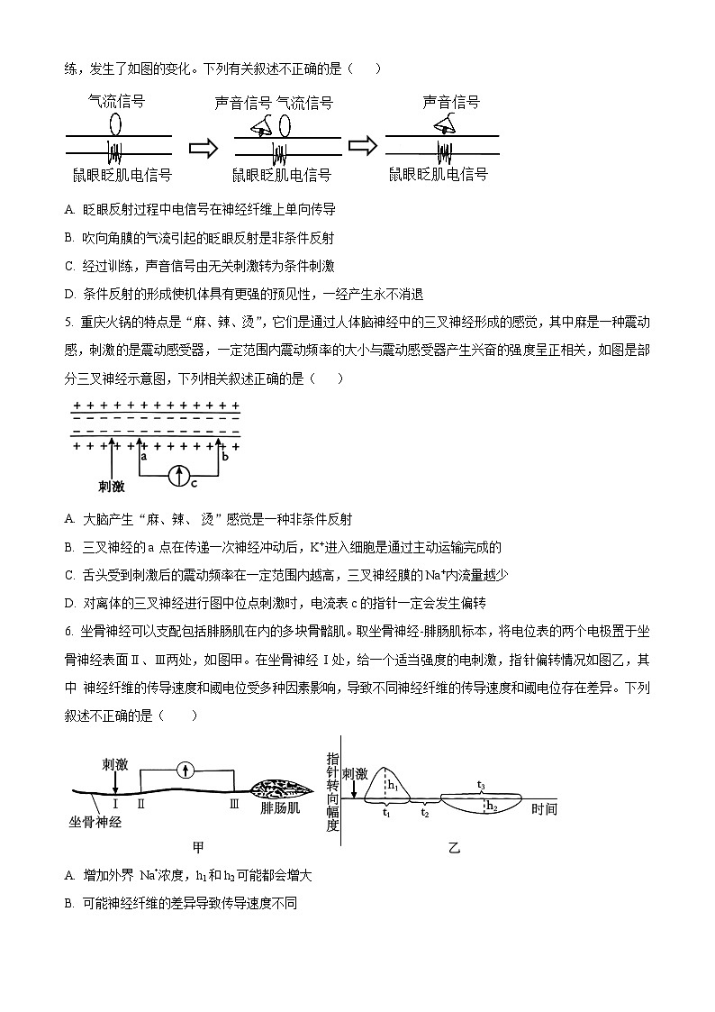 重庆市巴蜀中学校2024-2025学年高二上学期11月期中生物试题 Word版无答案第2页
