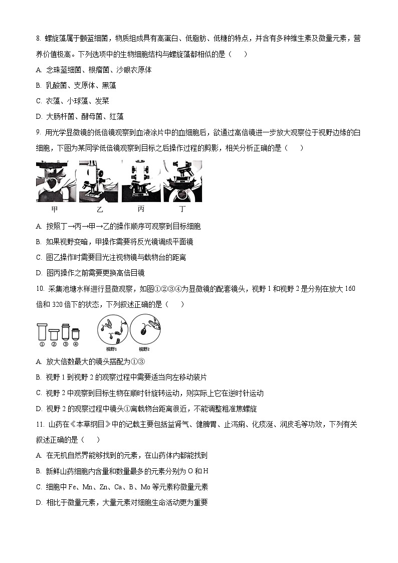 重庆市巴蜀中学教育集团2024-2025学年高一上学期期中生物试题 Word版无答案第3页