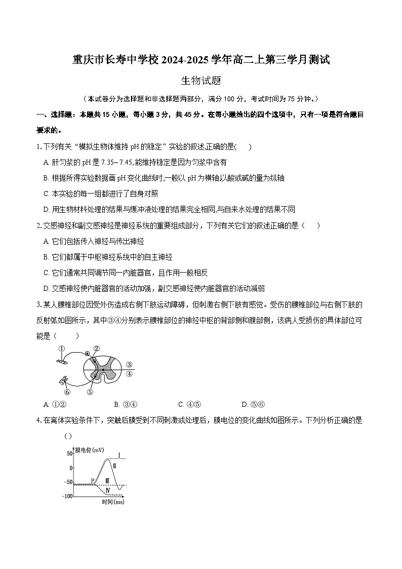 重庆市长寿中学2024-2025学年高二上学期12月月考生物试题（Word版附答案）第1页