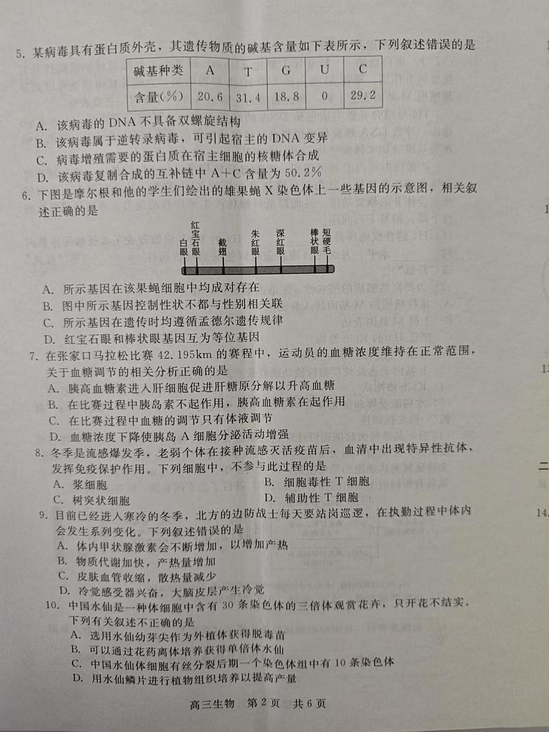 河北省张家口市尚义县第一中学等校2024-2025学年高三上学期12月月考生物试题第2页