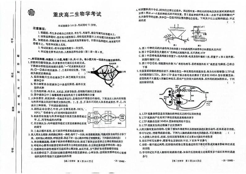 重庆市金太阳联盟2024-2025学年高二上学期12月月考生物试卷第1页