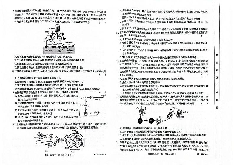 重庆市金太阳联盟2024-2025学年高二上学期12月月考生物试卷第2页