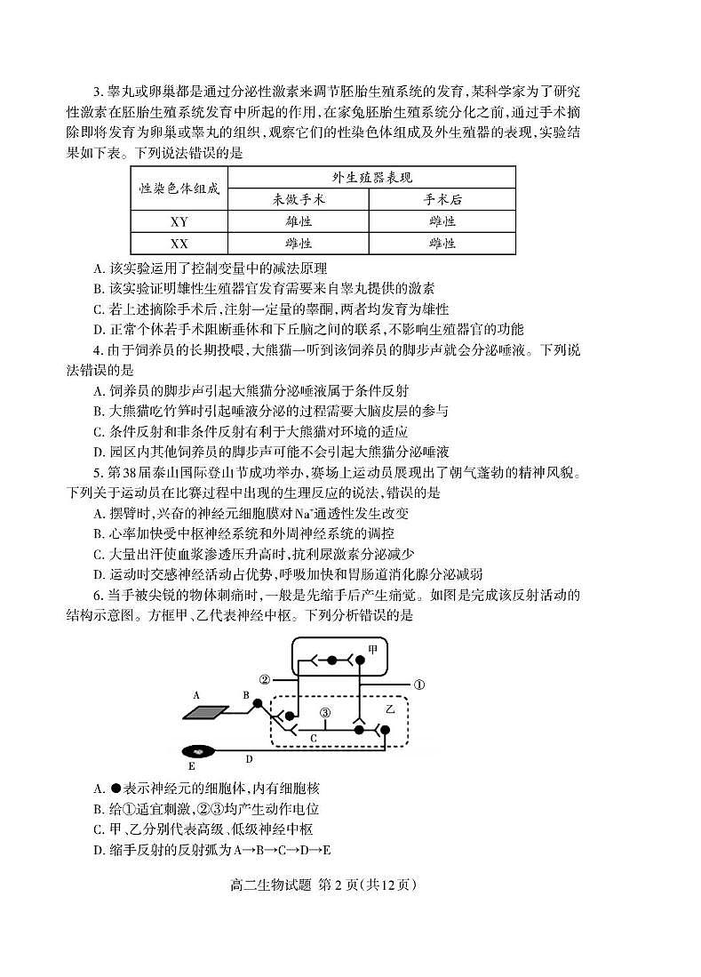 （教研室提供）山东省泰安市2024-2025学年高二上学期期中考试生物试题第2页