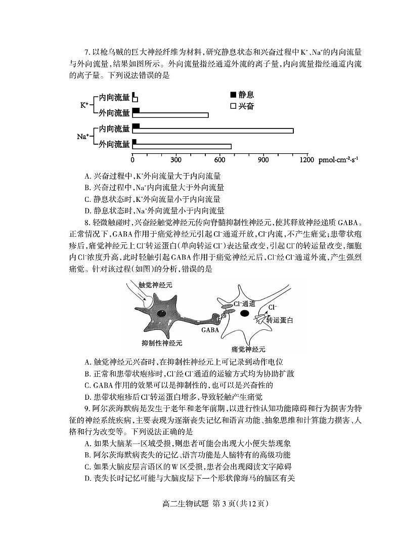 （教研室提供）山东省泰安市2024-2025学年高二上学期期中考试生物试题第3页