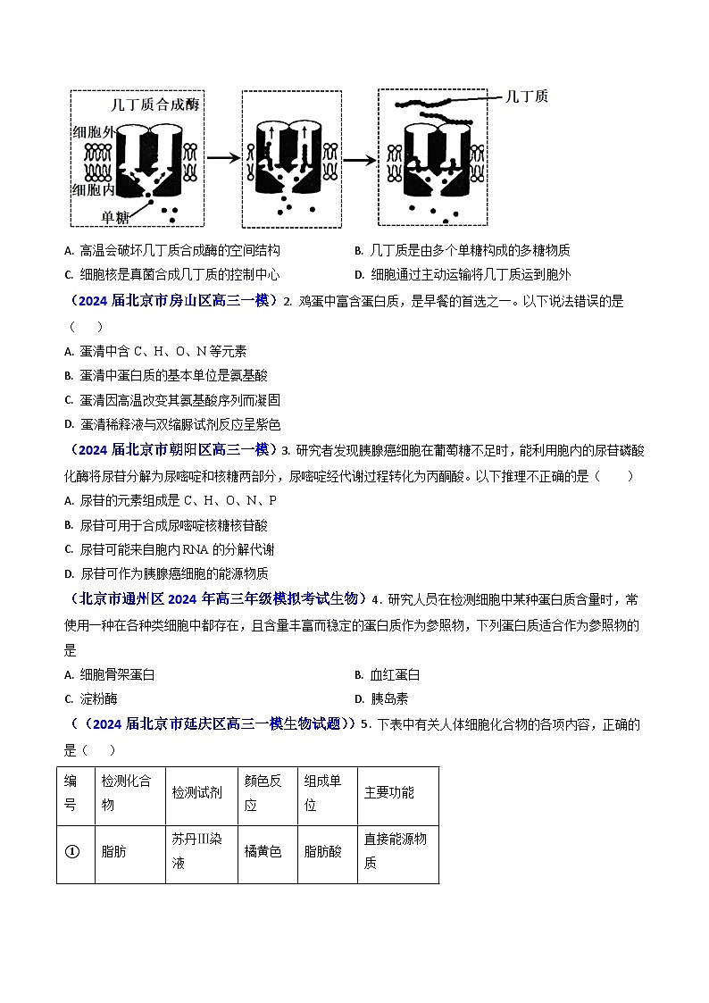 专题01 细胞的分子组成-【真题汇编】2024年高考生物真题和模拟题分类汇编（学生卷）第3页