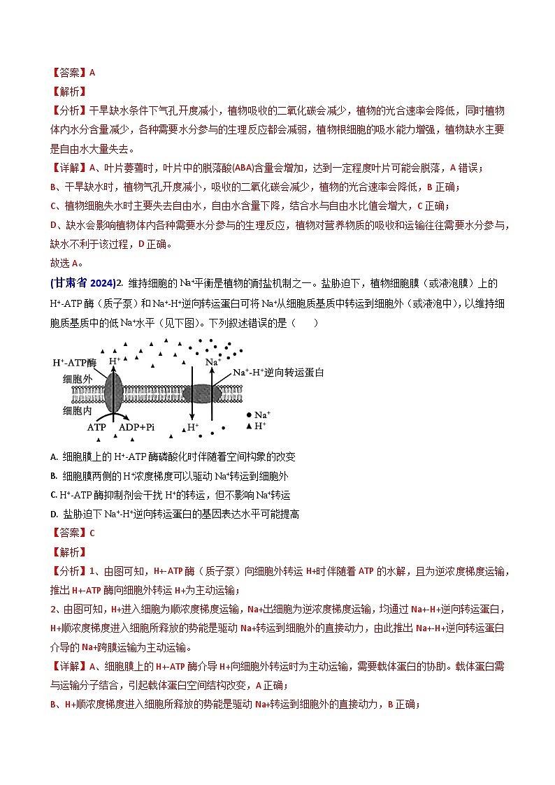 专题03 物质的跨膜运输-【真题汇编】2024年高考生物真题和模拟题分类汇编（教师卷）第2页