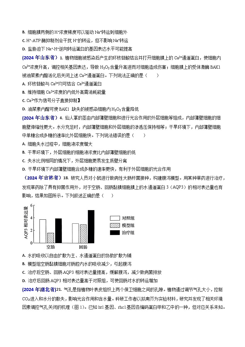 专题03 物质的跨膜运输-【真题汇编】2024年高考生物真题和模拟题分类汇编(学生卷）第2页