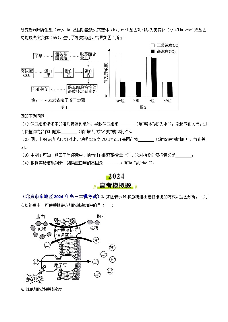 专题03 物质的跨膜运输-【真题汇编】2024年高考生物真题和模拟题分类汇编(学生卷）第3页