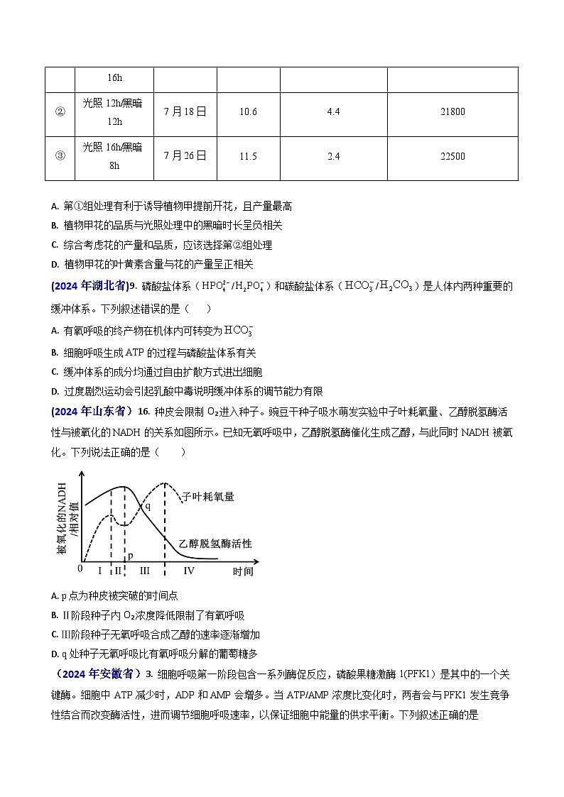 专题05 光合作用与细胞呼吸-【真题汇编】2024年高考生物真题和模拟题分类汇编(学生卷）第3页