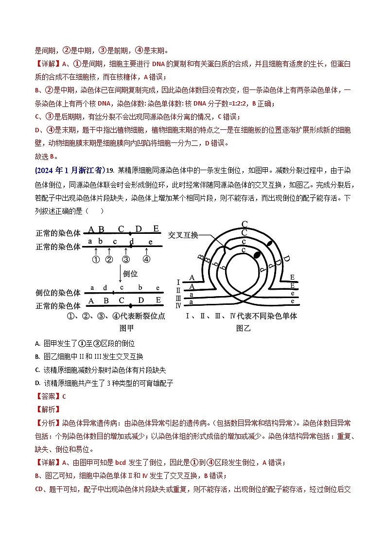 专题06 细胞的增殖-【真题汇编】2024年高考生物真题和模拟题分类汇编（教师卷）第2页