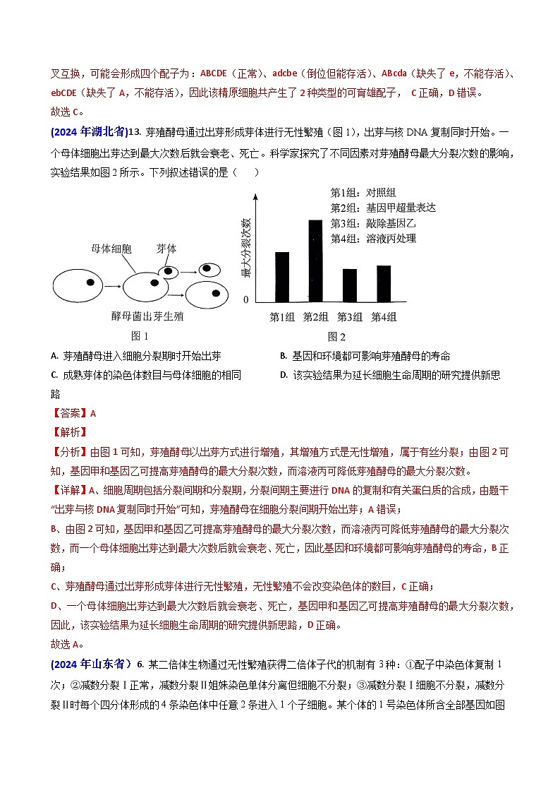 专题06 细胞的增殖-【真题汇编】2024年高考生物真题和模拟题分类汇编（教师卷）第3页