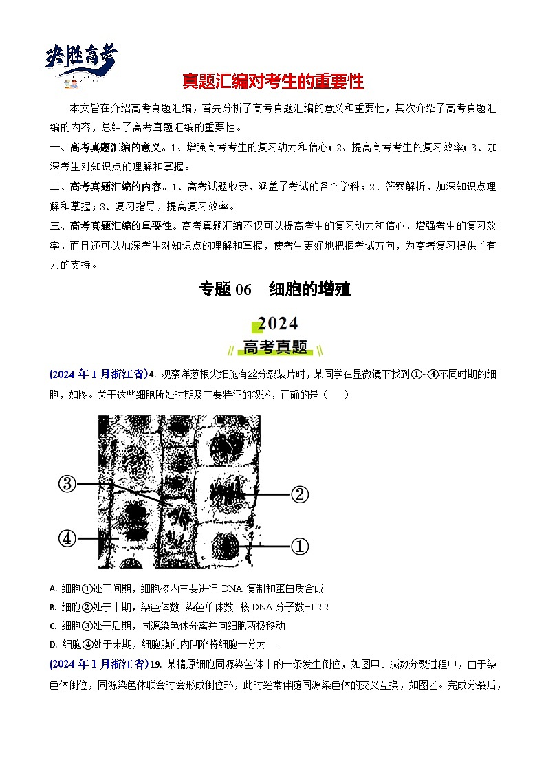 专题06 细胞的增殖-【真题汇编】2024年高考生物真题和模拟题分类汇编(学生卷）第1页