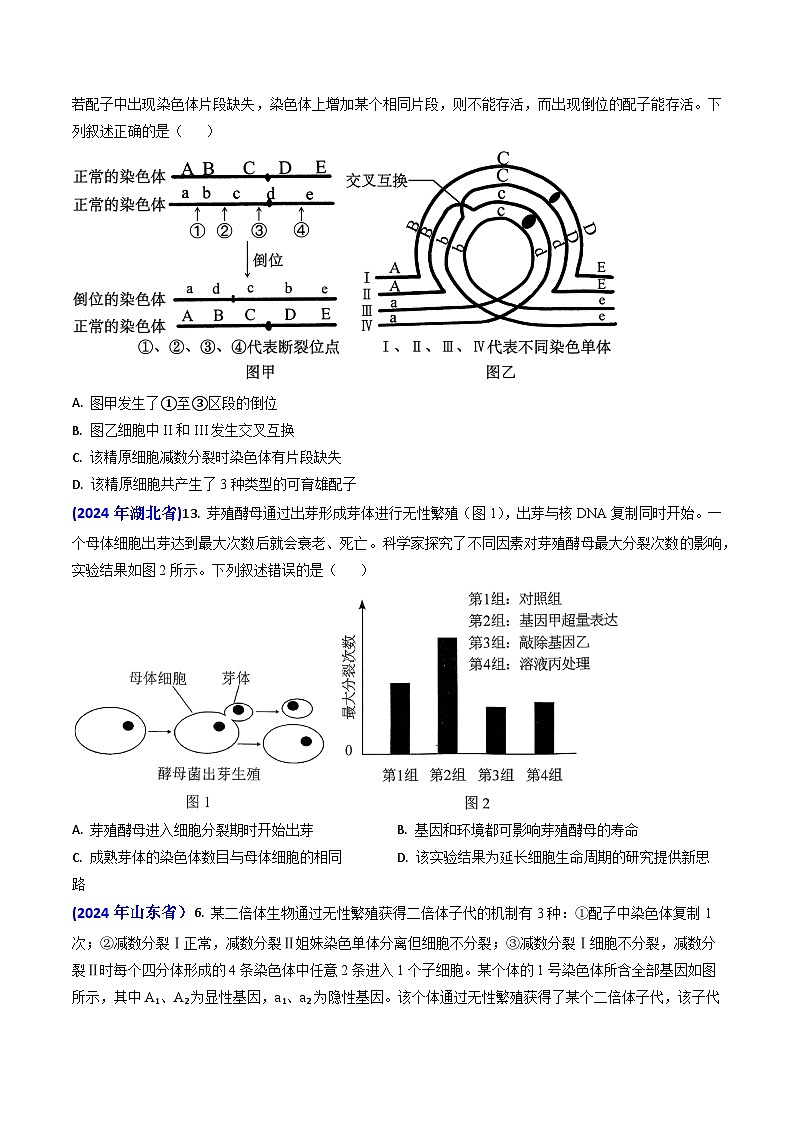 专题06 细胞的增殖-【真题汇编】2024年高考生物真题和模拟题分类汇编(学生卷）第2页