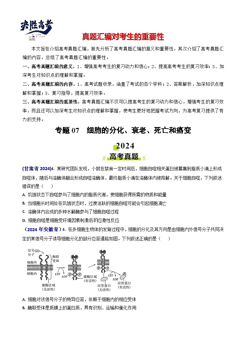 专题07 细胞的分化、衰老、死亡和癌变-【真题汇编】2024年高考生物真题和模拟题分类汇编(学生卷）第1页