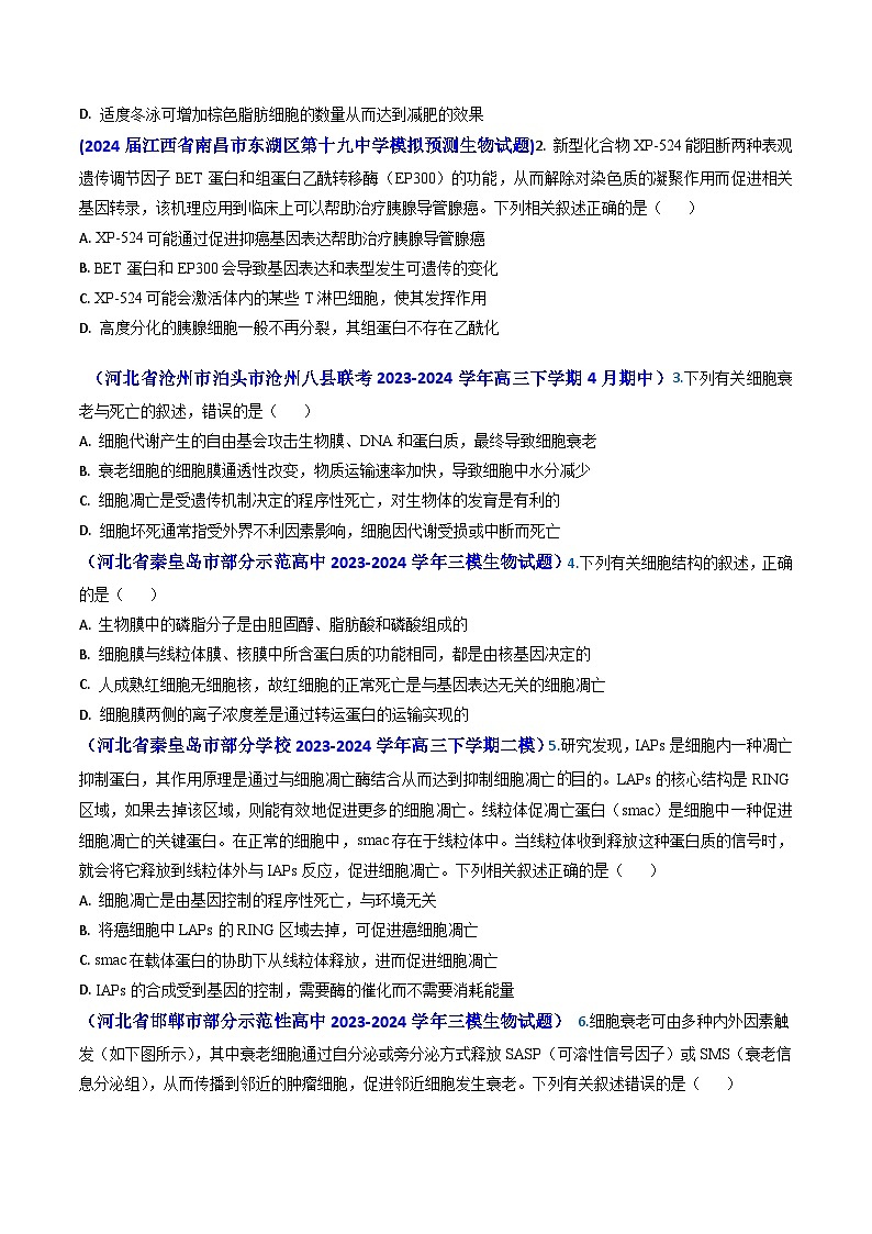 专题07 细胞的分化、衰老、死亡和癌变-【真题汇编】2024年高考生物真题和模拟题分类汇编(学生卷）第3页