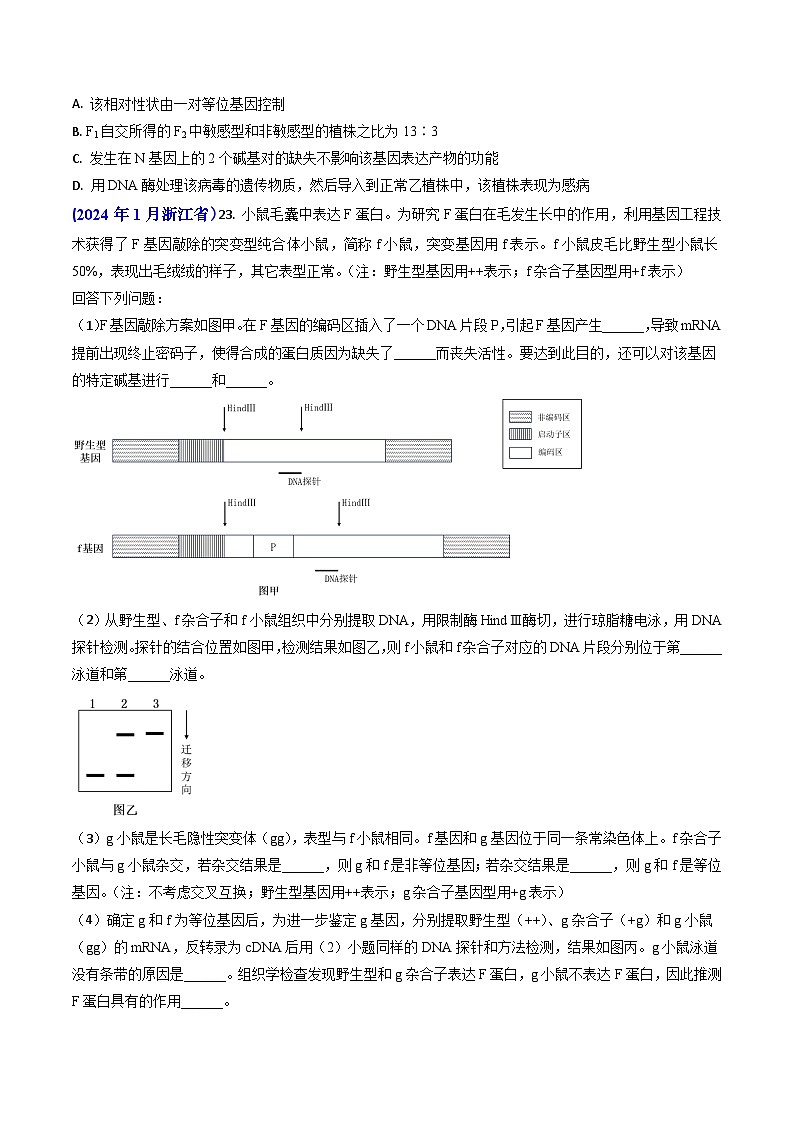 专题08 遗传规律和应用-【真题汇编】2024年高考生物真题和模拟题分类汇编(学生卷）第2页