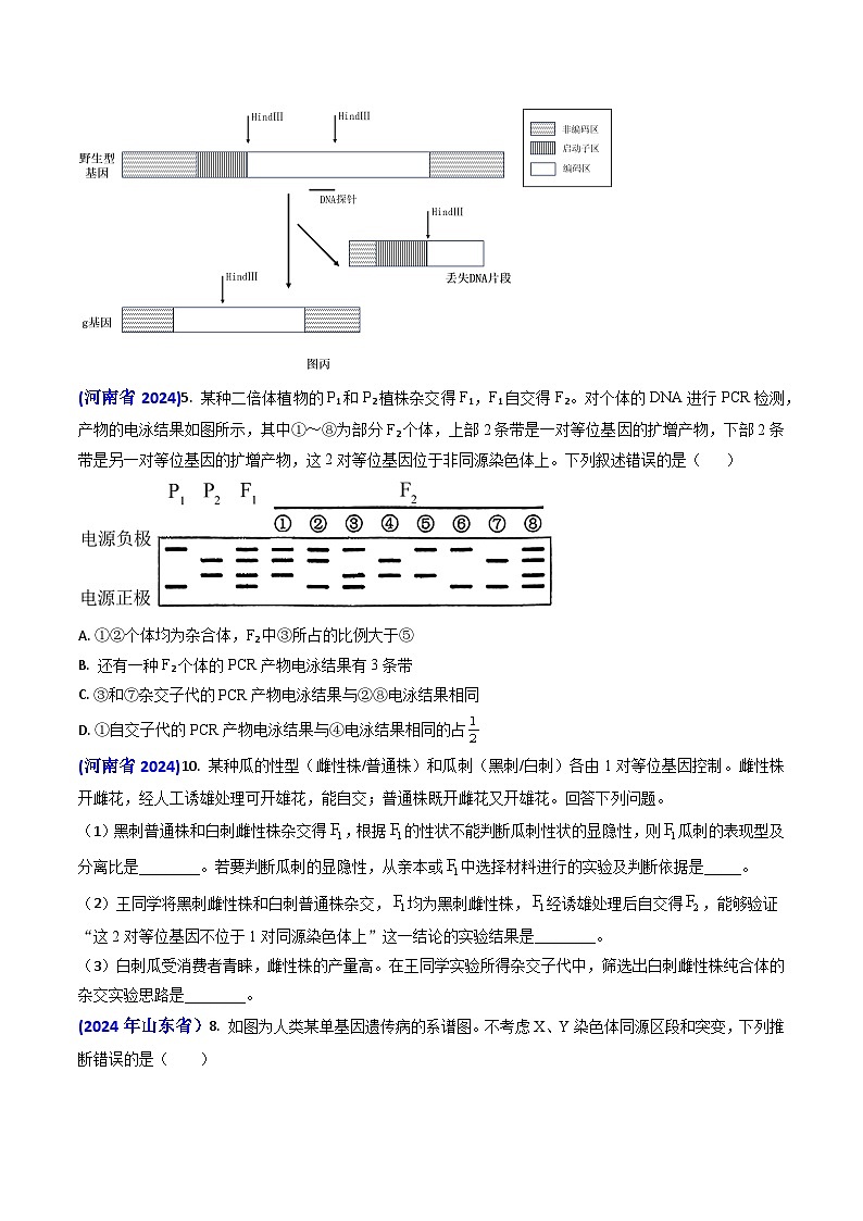 专题08 遗传规律和应用-【真题汇编】2024年高考生物真题和模拟题分类汇编(学生卷）第3页