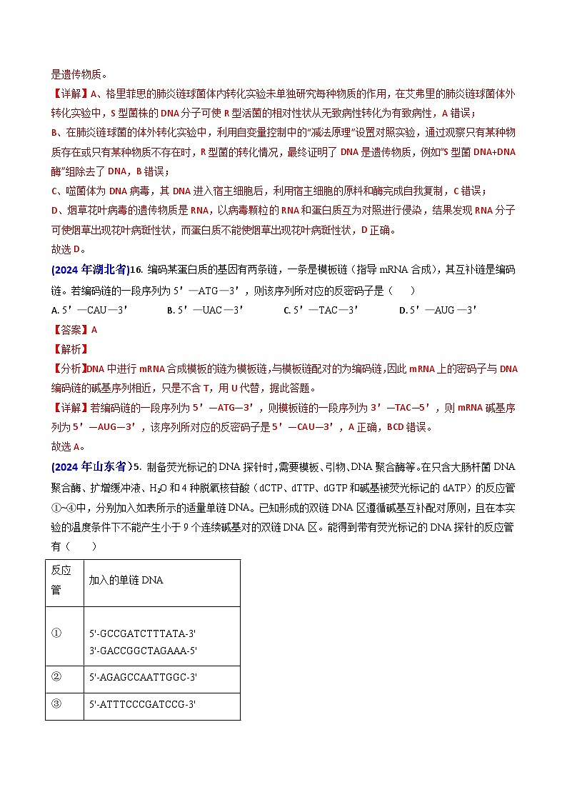 专题09 遗传的分子基础-【真题汇编】2024年高考生物真题和模拟题分类汇编（教师卷）第3页