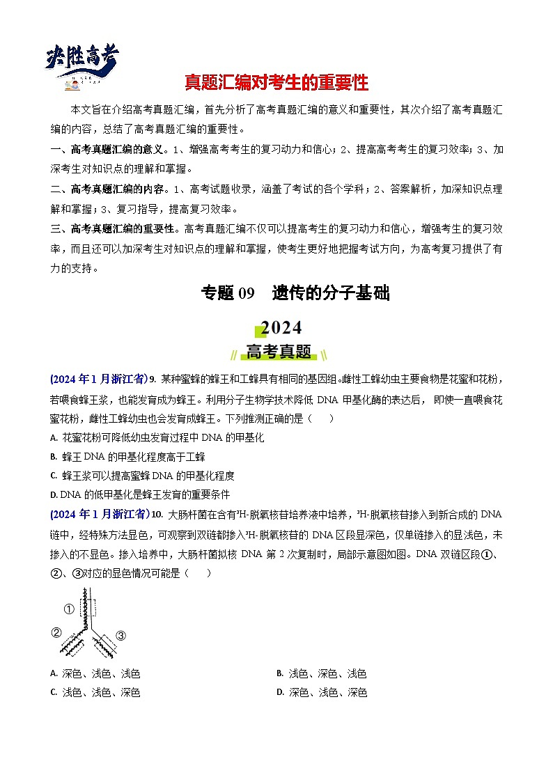 专题09 遗传的分子基础-【【真题汇编】2024年高考生物真题和模拟题分类汇编(学生卷）第1页