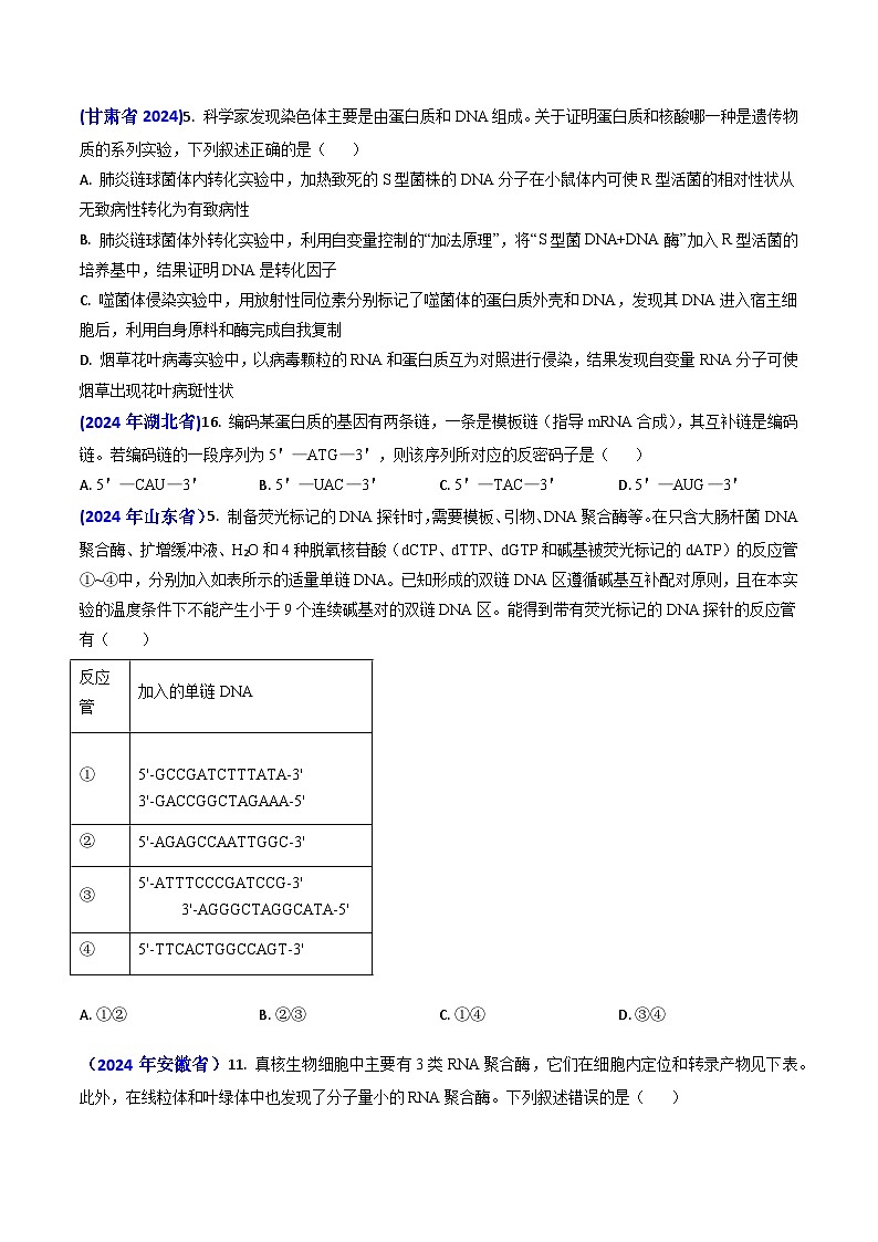 专题09 遗传的分子基础-【【真题汇编】2024年高考生物真题和模拟题分类汇编(学生卷）第2页