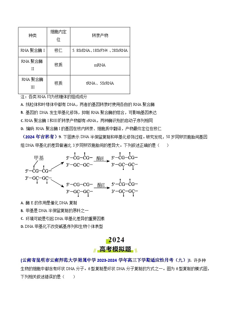 专题09 遗传的分子基础-【【真题汇编】2024年高考生物真题和模拟题分类汇编(学生卷）第3页