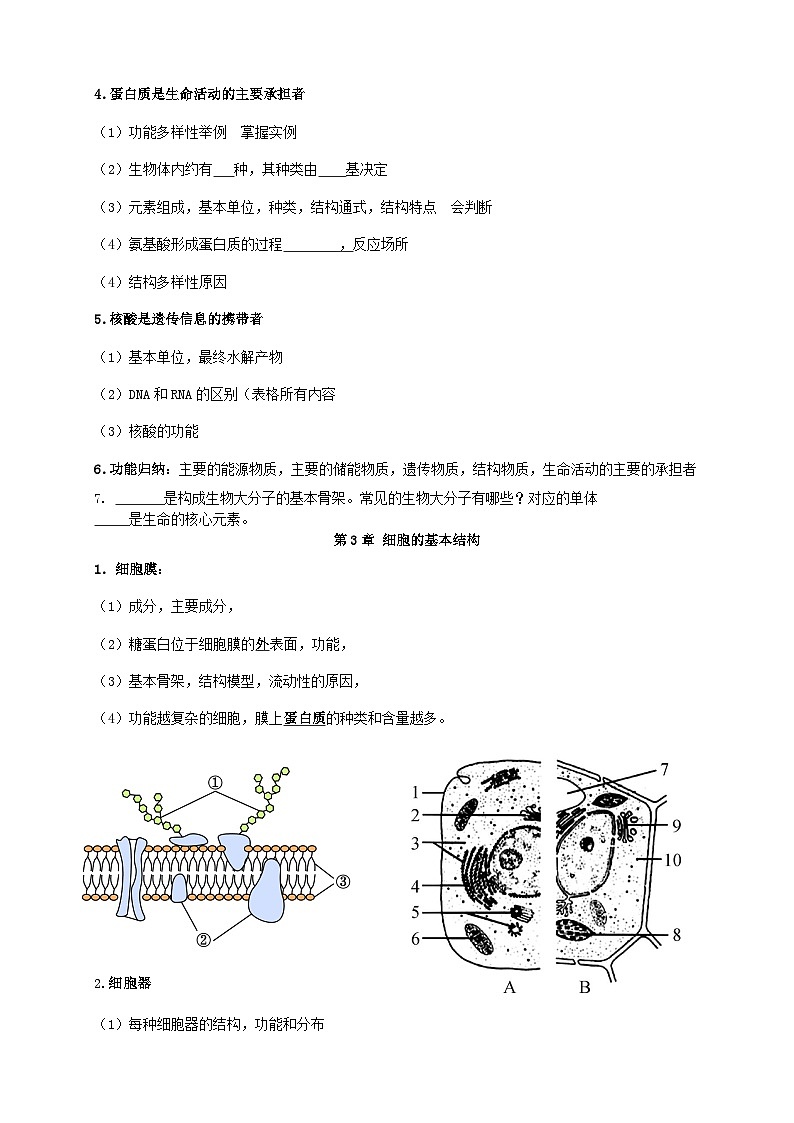 人教版（2019）高二生物学业水平合格性考试必背知识点考点提纲第2页