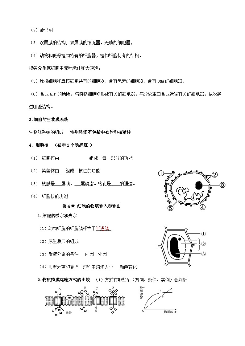 人教版（2019）高二生物学业水平合格性考试必背知识点考点提纲第3页