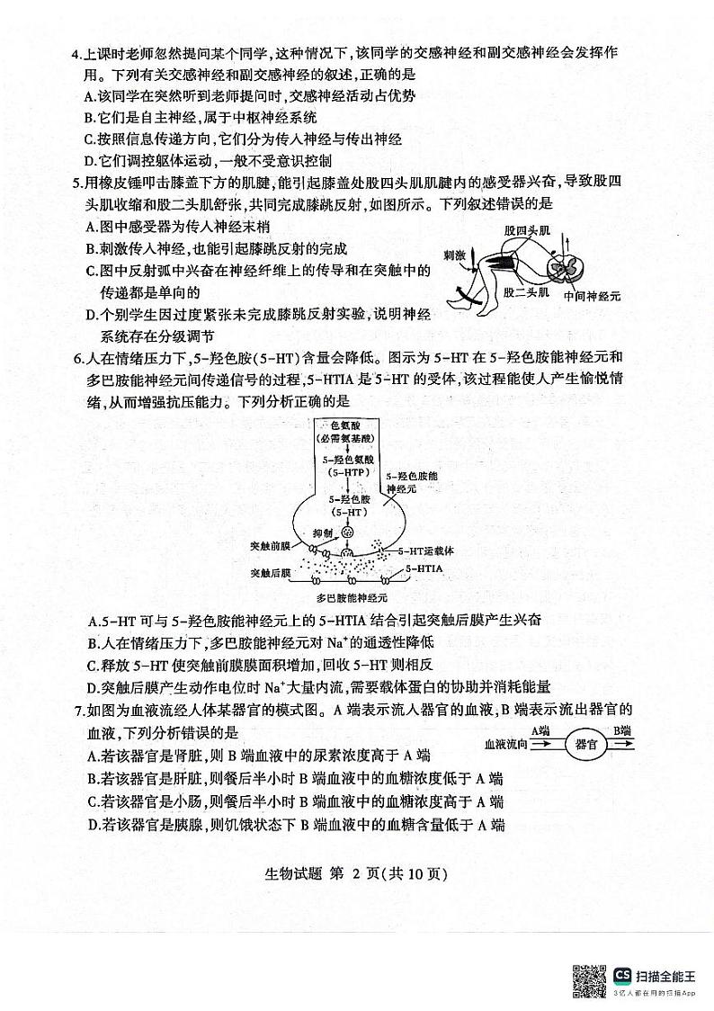 山东省临沂市河东区2024-2025学年高二上学期11月期中考试生物试题第2页