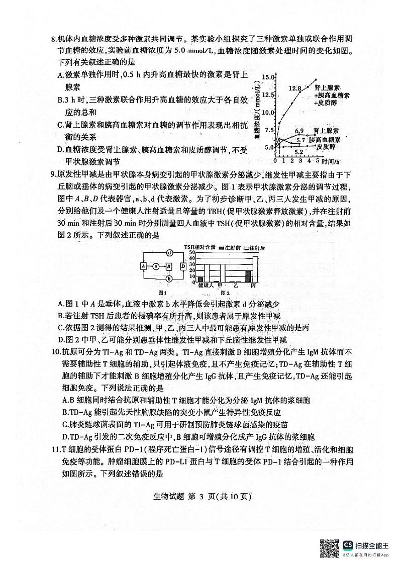 山东省临沂市河东区2024-2025学年高二上学期11月期中考试生物试题第3页