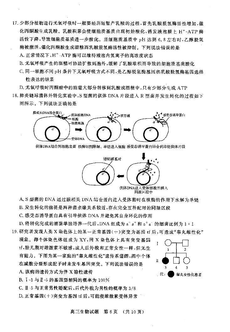 高三生物第2页