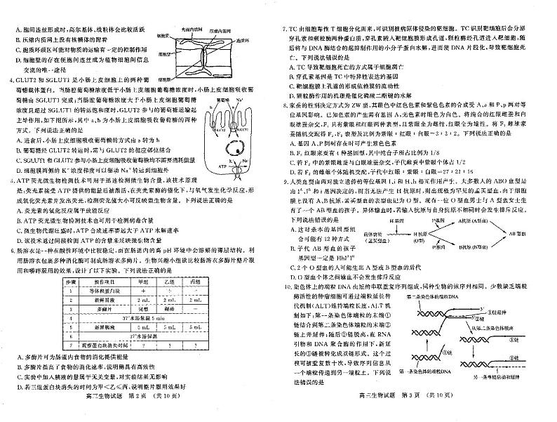 高三生物第3页