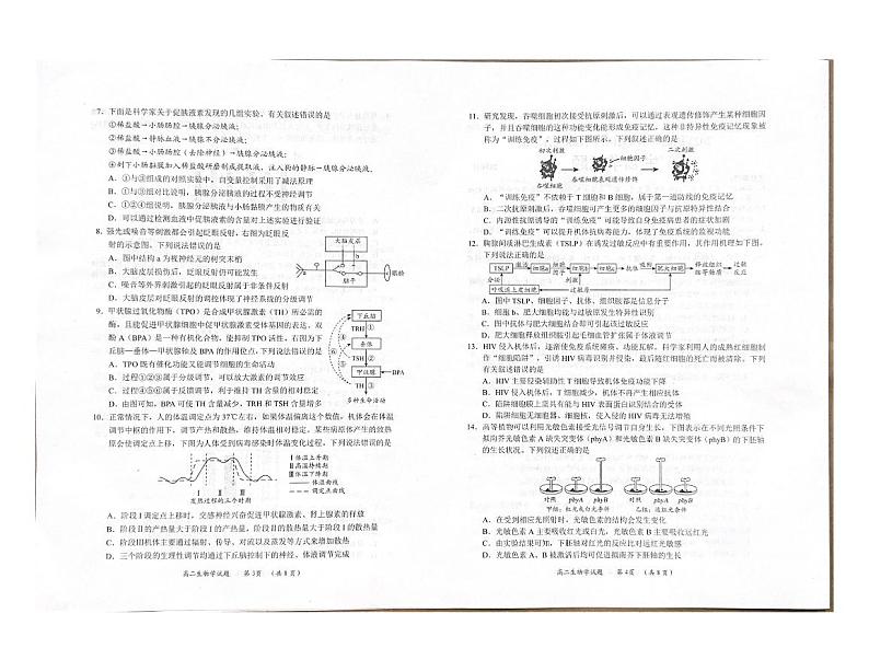 山东省日照市2024-2025学年高二上学期11月期中考试生物试题第2页