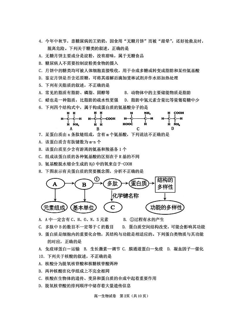 四川省天立学校2024-2025学年高一上学期期中联考生物试题第2页
