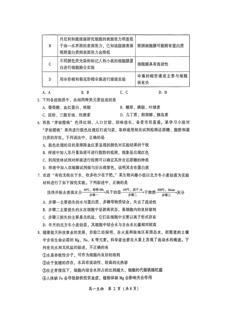 四川省凉山彝族自治州西昌市2024-2025学年高一上学期期中检测生物试题第2页