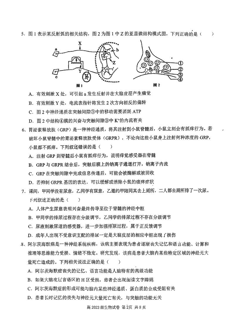 四川省南充市顺庆区四川省南充高级中学2024-2025学年高二上学期11月期中生物试题第2页