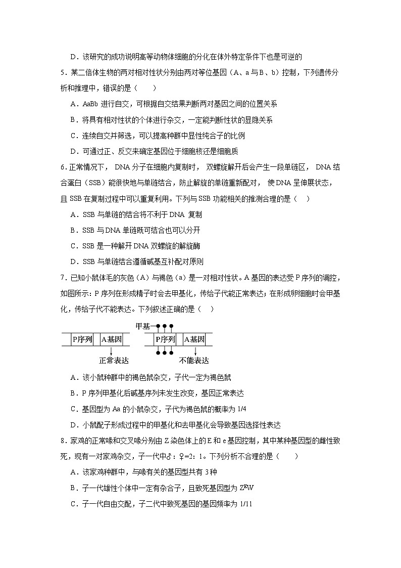 2025届湖南省衡阳市衡阳县第一中学高三一模生物试题第2页