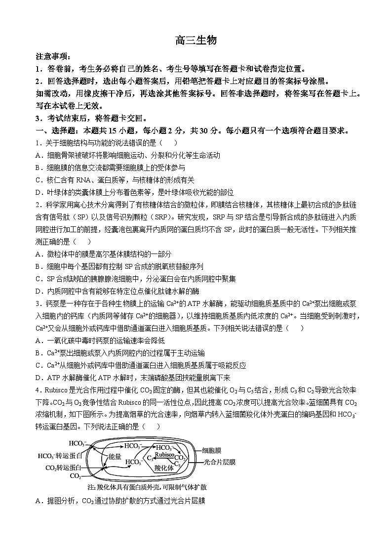 2025威海文登区高三上学期一模生物试题含答案第1页