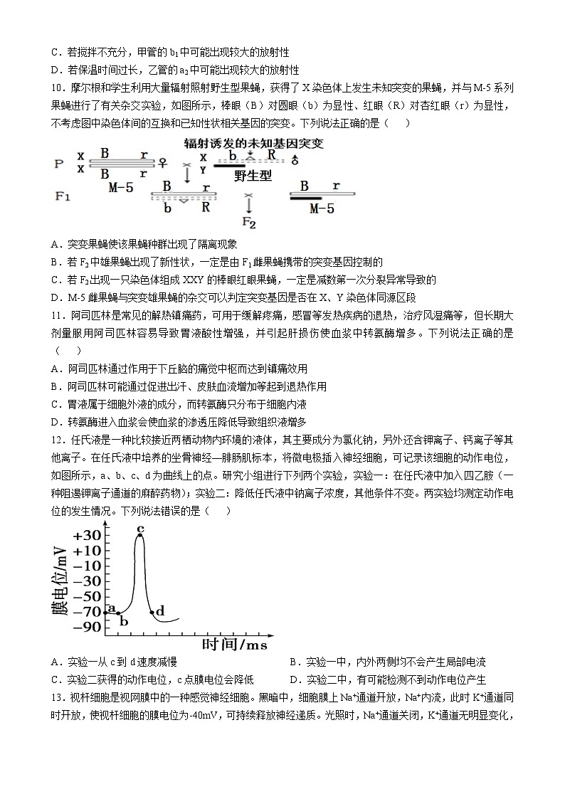 2025威海文登区高三上学期一模生物试题含答案第3页